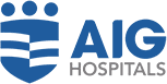 AIG Logo